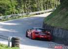 FSJ_3014.jpg