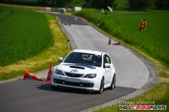 fsj_9034