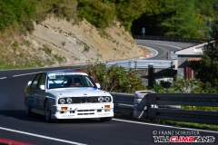 fsj_4235