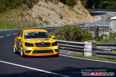fsj_4329
