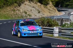 fsj_4336