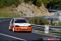 fsj_4338