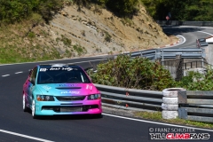 fsj_4359