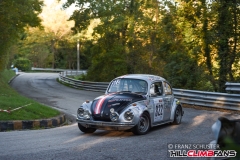 fsj_6611