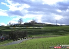 hcf_1999