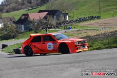 hcf_0663