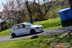 hcf_9541