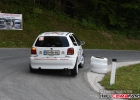 FSJ_0311