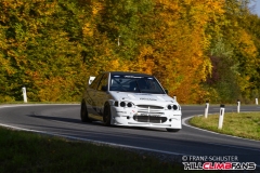 fsj_8139