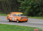 HCF_4029