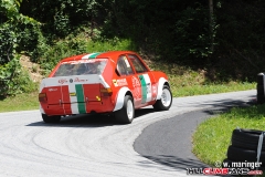 Naas 2015 - Wolfgang Maringer