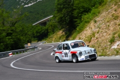 fsj_9596