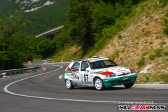 fsj_9653