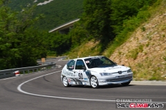 fsj_9656