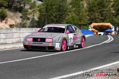 hcf_3309