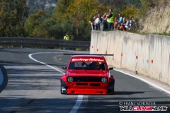 fsj_6306