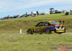 HCF_4548