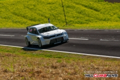 hcf06974