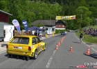 wgk_4235-kopie