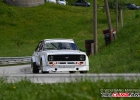 HCF_9397
