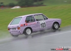 hcf_4394