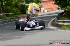 HCF_1019