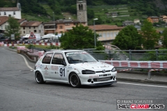 fsj_0029