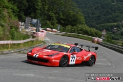 fsj_0381