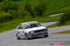 fsj_9383