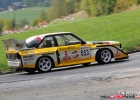 hcf_4561