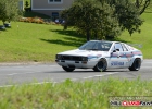 HCF_1293