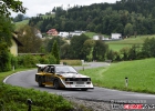 FSJ_5218