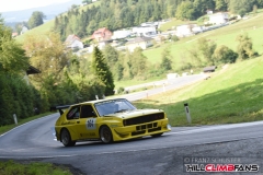FSJ_6031