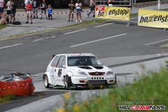 FSJ_6239