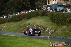 fsj_0869